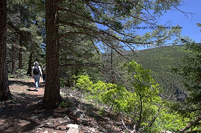 hiking along the trail near the ridge line
