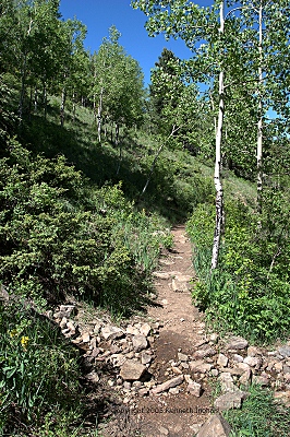 stream crossing the trail
