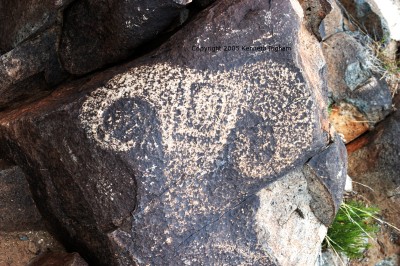 bighorn sheep petroglyph
