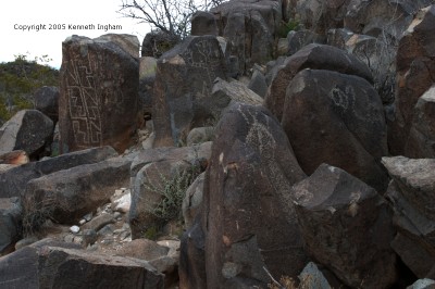lots of rocks with petroglyphs
