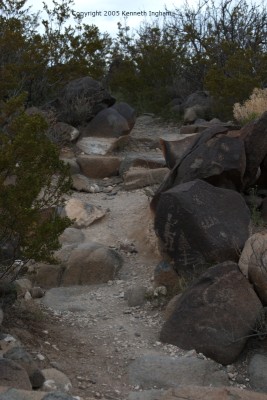 petroglyphs and the trail
