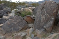 Petroglyphs along the trail
