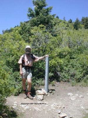 Kenneth Ingham at the junction of trails 130 (Crest Trail) and 148 (Cienega Canyon)
