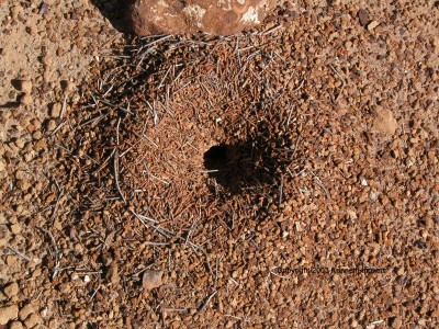 hole with a pile of debris around it
